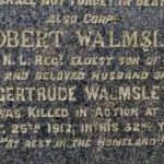 Walmsley-1917-b